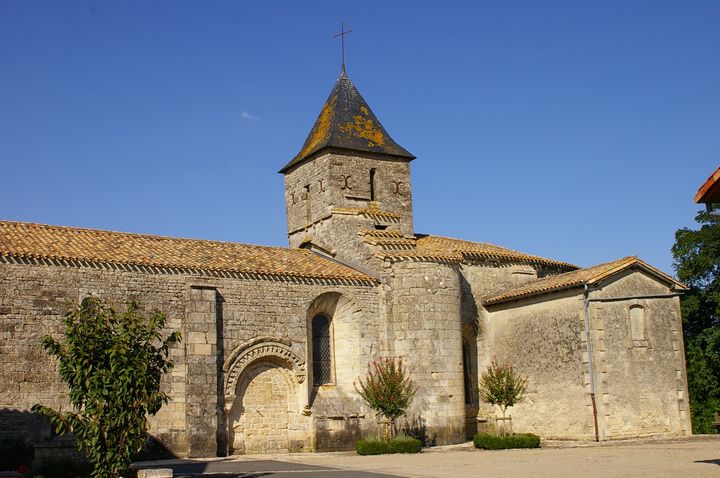 IMGP8650.JPG