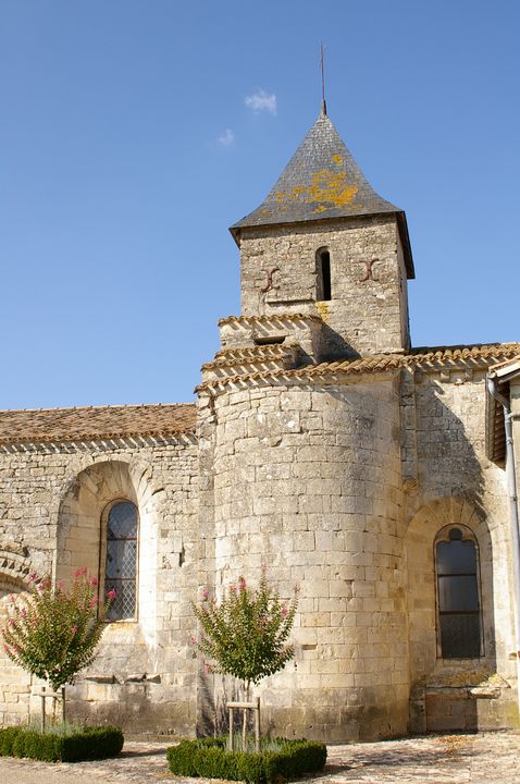IMGP8667.JPG