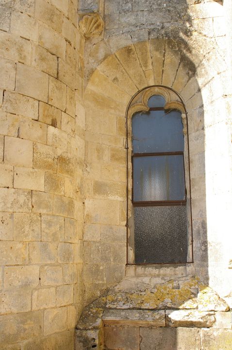 IMGP8668.JPG
