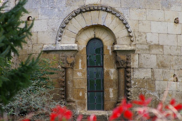 IMGP8674.JPG