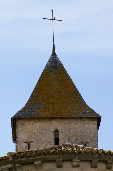 IMGP8678.JPG