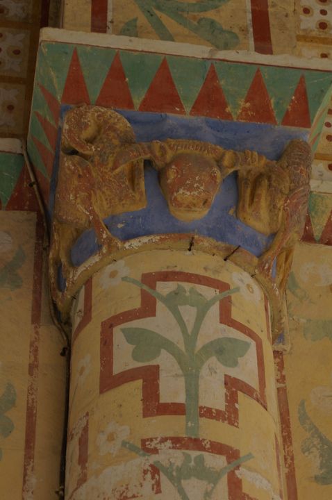 IMGP8812.JPG