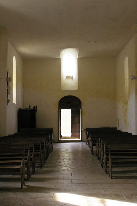 IMGP8911.JPG