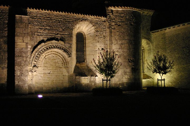 IMGP8936.JPG