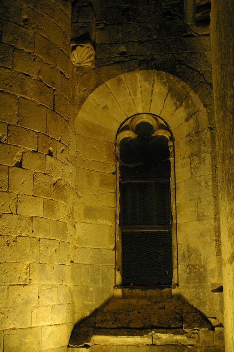 IMGP8942.JPG