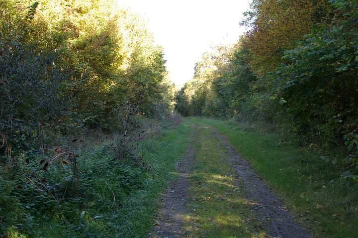 10 Chemin des Grands bois.JPG