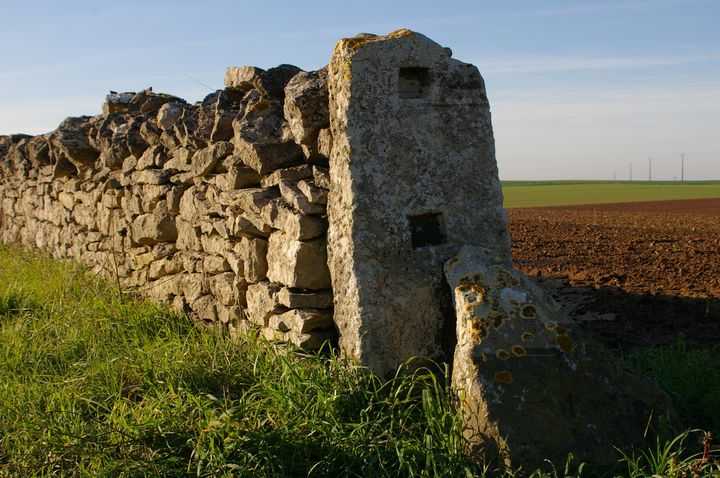 14 Pierres des champs.jpg